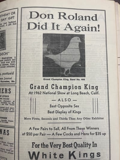 This image displays a photograph of an aged, off-white printed page from a periodical, likely a specialized journal or magazine, viewed at a slight angle. The dominant content is a large advertisement for "Don Roland" and his pigeons, occupying the majority of the right column.

The advertisement features a black-and-white halftone photograph of a plump, white King pigeon, labeled "Grand Champion King, Band No. 444," facing right within a dark rectangular frame. The pigeon appears to be standing on a gridded surface, possibly the bottom of a cage. The headline above the image reads, "Don Roland Did It Again!" Text below the pigeon's photo indicates it was "Grand Champion King At 1962 National Show at Long Beach, Calif." Further text lists additional achievements: "Best Opposite Sex," "Best Display of Kings," and "More Firsts, Seconds and Thirds Than Any Other Exhibitor." The advertisement also states, "A Few Pairs to Sell, All From These Winners at $50 per Pair — A Few Cocks and Hens for $35 up," concluding with "For the Very Best Quality In White Kings" (partially visible).

The left column of the page contains fragments of other advertisements or articles, also related to pigeons. Visible text includes "PIGEON" and "on Journal Warrenton, Mo.," suggesting the publication originates from Warrenton, Missouri. Another partial advertisement mentions "Annville, Penna." There is no information within the image indicating a location in Oklahoma City, United States.

The overall environment depicted is a flat, two-dimensional printed page, characterized by typical paper aging and minor handling wear. No specific individuals are visible, but Don Roland is identified as the breeder and seller. The content is an advertisement for the sale of championship-winning show pigeons.