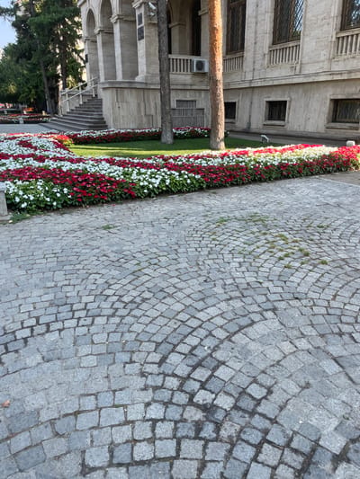 The image depicts a paved walkway in front of a building with classical architectural elements, likely in Iași, Romania. The walkway is constructed of grey cobblestones laid in a curved, fan-like pattern. A lush flower bed, filled with red and white flowers, runs along the edge of the walkway in front of the building. The building itself is made of light-colored stone and features arched windows and columns. Trees are visible on the left side of the building. The overall scene suggests a well-maintained public space, possibly a park or the grounds of a historical institution.