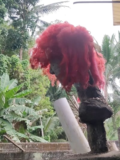 The image depicts a concrete bust with a reddish-pink wig situated outdoors in a lush, tropical environment. The bust is positioned on a pedestal constructed from rough, dark material, appearing weathered. A section of white PVC pipe leans against the pedestal. The backdrop consists of dense green foliage, including banana trees and palm trees. The sky is overcast. The location is assumed to be Bedulu, Indonesia, based on prior knowledge.
