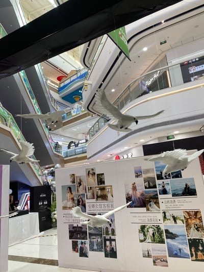 The image shows an interior view of a multi-story commercial space with multiple escalators.

A vertical display features wedding photography. 

Decorative, faux white birds hang from the ceiling throughout the area.

An Anna Photo Guest Photo Exhibition display is also visible.

Advertisements for Pizza Hut and a shop called "Grand S Sil" are also visible.

A banner with Chinese text and a green background is seen on the left of the frame.