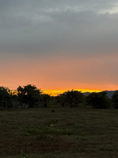 The image depicts a rural or semi-rural landscape in the vicinity of Tela, Honduras, during either sunrise or sunset. The sky is divided horizontally: the upper portion features a grey, overcast cloud layer, which transitions downwards into a vibrant band of orange and yellow light at the horizon. Below the illuminated horizon, a dark, undulating landscape extends into the foreground. This landscape is characterized by sparsely vegetated, dark green and brown ground. Scattered across the midground are numerous dark silhouettes of trees, varying in height and density, some appearing to be palm trees. In the distant background, obscured by the bright horizon light, dark mountainous or hilly terrain is visible. No individuals, man-made structures, or specific objects are identifiable in the scene.
