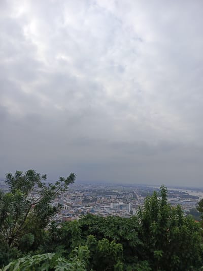 The image shows a wide aerial view of Guayaquil, Ecuador, under a heavily overcast sky. The foreground is dominated by lush green foliage, with trees and large-leafed plants obscuring the lower part of the scene. In the middle ground, a dense urban landscape unfolds, characterized by a mix of low-rise buildings, some with colorful roofs, and taller structures, including what appear to be office buildings or hotels, one with a prominent white facade. A major road or highway runs through the city, with visible traffic, suggesting it is daytime. In the distance, a wide body of water, likely the Guayas River, is visible, with a bridge crossing it and what looks like industrial or port facilities along its banks. The overall mood is muted due to the cloudy weather, which obscures any direct sunlight and casts a soft, diffused light over the city. No people are discernible in the image. The scene depicts a sprawling city in a somewhat hazy, possibly humid, environment, typical of a cloudy day in a coastal tropical location.