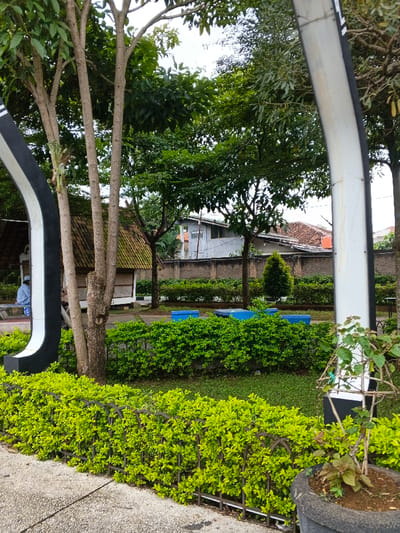 Lush park scene with vibrant green foliage. A low hedge with yellow-green leaves runs along the bottom, with a metal fence partially visible. Behind it, a taller green hedge separates the park from residential buildings. Several trees provide shade, framed by black and white architectural elements. In the background, a house with a tiled roof and a white building can be seen. A few blue benches are scattered throughout the green space. A potted plant with a wooden support stands in the foreground.