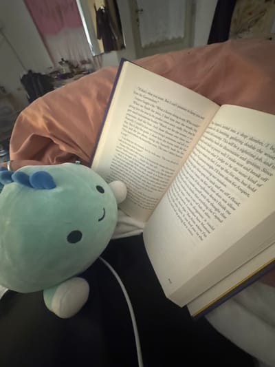 The image shows an open book with text visible on the pages. One page begins with, "If that's what you want. But I can't promise to keep you safe..." while the opposite page starts with "teleporting nestled into a deep slumber, I be..." A blue plush toy with button eyes sits near the spine of the book. The background includes a bed and some household objects in a blurry state. The pages contain what appears to be a narrative or fictional story. Page 243 is visible on the right page.