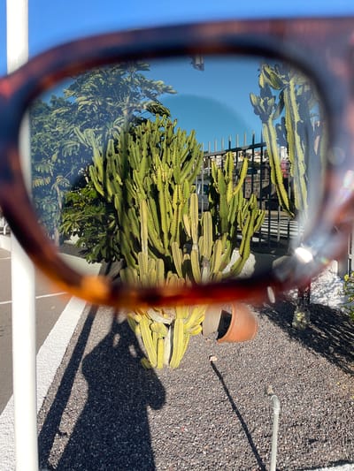 The image captures an outdoor scene viewed through the blurred, tortoiseshell-patterned frame of sunglasses, which partially obstructs the foreground. The central subject, seen clearly through the sunglass lens, is a large, lush green, multi-branched succulent plant, resembling a cactus or euphorbia, with distinct ridges along its segments.
Behind the prominent plant, under a bright, clear blue sky, are glimpses of other green trees and bushes, and a dark metal fence or railing. The ground outside the sunglass view is covered with dark grey gravel or small stones. Visible on the gravel are a partially broken terracotta pot and a grey pipe with a nozzle. Long, distinct shadows, including the clear outline of a person's head and arm holding a camera, are cast across the gravel, indicating direct and strong sunlight. A white painted line, possibly a curb or pathway marker, runs along the bottom edge of the gravel area, parallel to a white metal railing or pipe.
The scene depicts a sunny day, likely morning or late afternoon given the length of the shadows. The arid-tolerant vegetation and bright conditions are consistent with the provided location context of Santa Cruz de Tenerife, Spain, suggesting a landscaped garden or public area. No visible text is present in the image.