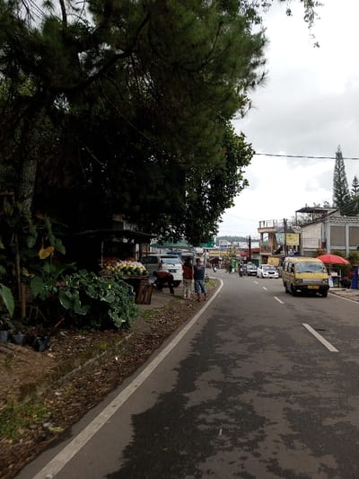 The image depicts a street scene in Melakudikadu, India, under an overcast sky. A paved asphalt road, with a solid white edge line on the left and a broken white lane line further right, dominates the middle ground. Dark, irregular patches are visible on the road surface.
On the left side, a dense canopy of pine trees overhangs the scene, casting significant shadows. Beneath the trees, a raised dirt bank supports various green plants, including large-leafed foliage and smaller plants in black bags. A makeshift market stall displaying numerous fruits, including watermelons and lighter-colored round fruits, is situated on this bank. Three adult males are present near the stall; one, dressed in dark clothing, is bent over near the display, while two others stand upright. A white SUV is parked or stopped behind the fruit stall.
On the right side of the road, a yellow boxy van is traveling or stopped, facing away from the viewer. Beyond it, a red umbrella is visible, suggesting another vendor stall or seating area. Multiple buildings with balconies and varied architecture line the right side of the street, extending into the background. Utility lines are strung overhead. In the distance, several cars and motorcycles are visible on the road, and faint hills or structures are discernible against the horizon.