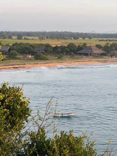 An overhead, high-angle, medium shot captures a tranquil scene of the ocean and coastline. The water is a calm, bluish-grey, with gentle waves lapping the sandy shore. In the foreground, lush green foliage partially obscures the view, with branches and leaves extending into the frame.

Further out on the water, a small, wooden boat with a blue hull is visible. A single person, wearing a white top and dark bottoms, is seated in the boat, appearing to be fishing. The boat is small and narrow, with a slight upward curve at the front.

The coastline features a sandy beach with a line of vegetation and scattered buildings. In the middle ground, a large, thatched-roof structure, possibly a resort or restaurant, stands prominently with its open sides and supporting pillars. Several smaller thatched-roof huts are also scattered along the shore. Beyond the immediate coastal area, vast, green fields stretch towards a backdrop of dense trees and rolling hills under a pale, hazy sky. A flock of birds is visible as small specks in the sky. The overall atmosphere is serene and peaceful, indicative of a rural or coastal environment. The location is identified as Shastrawela, Sri Lanka.