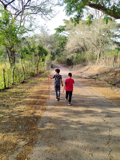 Two children are walking away from the viewer on a dirt road. The child on the left is carrying a long stick. The environment is a wooded area. There is a fence on the left side of the road. The location is likely Los Leoncitos, Venezuela, though there are no elements in the image to absolutely confirm this.