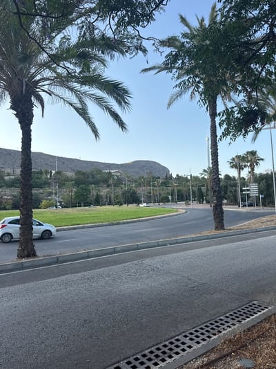 The image captures a street scene in Benidorm, Spain, characterized by palm trees lining a wide, curving road. In the foreground, a section of asphalt road is visible, with a concrete curb and a drainage grate. A white car is driving on the road. Beyond the road, a circular green lawn is bordered by more palm trees and other vegetation. In the background, a hilly landscape with scattered buildings and power lines is visible under a clear blue sky. Several streetlights and road signs are also present.