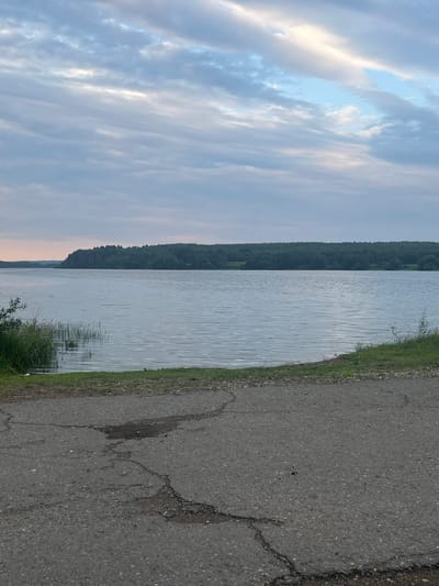 The image depicts a serene natural landscape, likely in Sen'kino, Russia. In the foreground, a cracked asphalt road leads towards a grassy embankment. Beyond the embankment lies a calm body of water, possibly a lake or a wide river, reflecting the soft hues of a cloudy sky. A dense, dark green forest lines the opposite shore, creating a natural horizon. The sky is a mosaic of soft blue and grey clouds, with hints of pale pink near the horizon, suggesting either dawn or dusk. The overall atmosphere is tranquil and untouched by human activity, focusing on the natural elements of water, land, and sky.