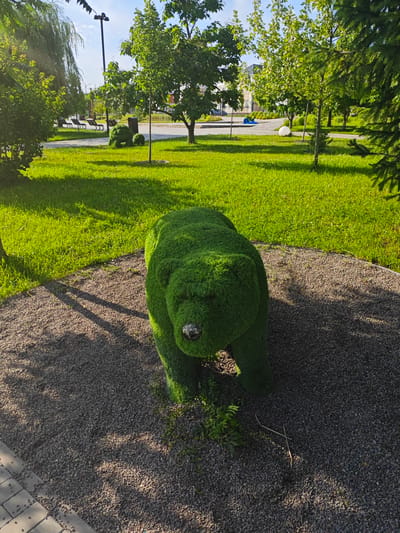 A topiary sculpture of a bear, covered in bright green artificial grass, stands in the foreground of a park. The bear is in a crouched position, facing forward, with a dark nose and small, beady eyes. It is situated on a bed of small gray pebbles, with a paved walkway made of gray interlocking bricks in the lower left corner. Sunlight casts strong shadows from the bear and nearby trees onto the ground.
Behind the bear, a lush green lawn stretches into the mid-ground, dotted with several trees with full, leafy canopies. In the distance, a pathway can be seen winding through the park, with several park benches lined up along its edge. A lamppost stands near the benches. Further back, more trees are visible, and a hint of buildings can be seen beyond the park's greenery. To the right of the bear, a large evergreen tree partially obscures the background. A white spherical object rests on the grass in the mid-ground. The scene is bathed in bright sunlight, suggesting a clear, sunny day, likely in the late afternoon given the long shadows. The overall impression is one of a well-maintained urban park, offering a serene and playful atmosphere. No people are visible in the image, and there is no visible text.