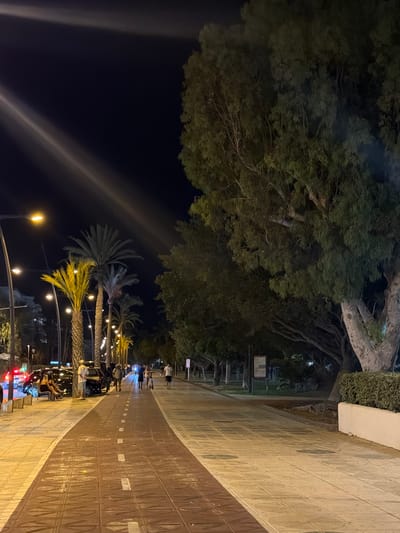 This nighttime scene depicts a well-lit promenade in the city of Eivissa, Spain, characterized by palm trees and large trees lining the walkway. The promenade features a red-toned path with white markings, likely a bike lane or pedestrian walkway, adjacent to a lighter-colored tiled sidewalk. Several streetlights illuminate the area, casting warm light.
On the left side of the promenade, parked cars are visible, with a group of people sitting on a bench near them. Further along the promenade, a group of individuals are walking, some with children and one person pushing a scooter. The background reveals more palm trees and the silhouettes of buildings and vegetation. The atmosphere appears relaxed and social, suggesting a popular evening gathering spot. The overall lighting creates a somewhat dramatic and inviting ambiance.