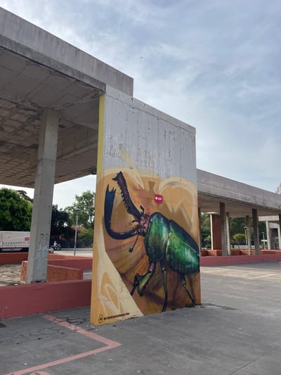 A large, vibrant mural of a green beetle is painted on a concrete wall in La Línea de la Concepción, Spain. The beetle is depicted in detail, with its iridescent green exoskeleton and large, segmented legs. The mural is set against a warm, golden background that resembles an abstract representation of a flower or leaf. A small heart icon with "32k" inside is superimposed on the mural, suggesting a digital endorsement. Below the mural, the artist's handle "@artedanielmartin" is visible. The concrete wall is weathered, with some signs of wear and tear.
The mural is located outdoors, in what appears to be a public space. In the background, there is a covered walkway supported by concrete columns, reminiscent of a bus station or a public building's architecture. Trees and greenery are visible beyond the walkway, suggesting a park or an urban area with some vegetation. The sky above is partly cloudy. To the left of the mural, a white bus or service vehicle is parked, and a person on a motorcycle is seen in the distance. The ground is paved with concrete and marked with pink lines, possibly indicating a sports court or designated area. The overall impression is a blend of urban infrastructure and public art, set under a daytime sky.
