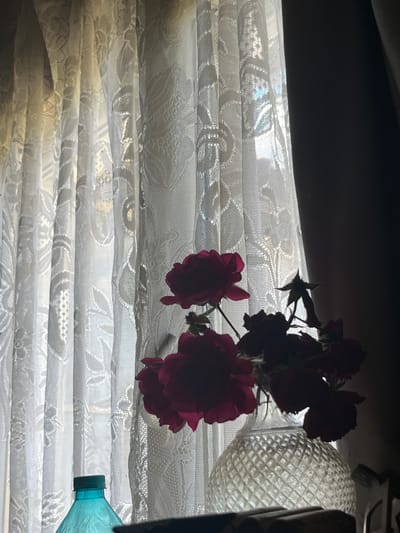 The image depicts a still life arrangement against a backdrop of white lace curtains filtering sunlight. In the foreground, a turquoise plastic bottle with a dark green cap is partially visible on the left. To the right of the bottle, a clear glass vase with a diamond-cut pattern holds a bouquet of dark red roses. The roses are silhouetted against the bright curtains, with some appearing to be in full bloom and others still budding. The lighting creates a dramatic effect, with the flowers and vase casting shadows. The scene is set indoors, likely near a window, given the presence of the curtains. The location is identified as Koziak, Bulgaria. There are no people or animals present in the image.