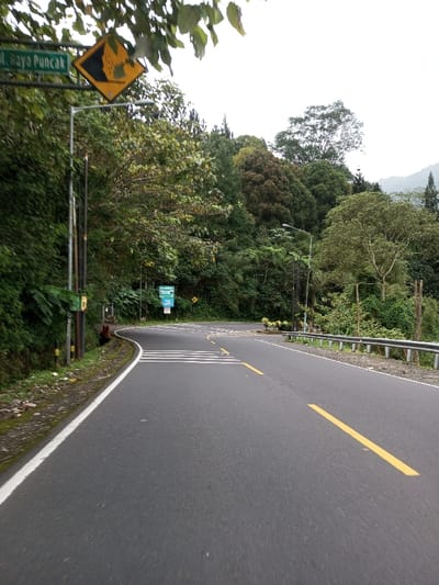 This image depicts an empty, winding asphalt road traversing a densely vegetated, mountainous landscape in Boommlog, Bhutan, under an overcast sky. The road, featuring a solid white line on its left edge and intermittent yellow dashed lines in its center, curves sharply to the right in the mid-ground. White parallel rumble strips or pedestrian crossing markings are present on the road surface at this bend, alongside yellow diagonal hatch markings.
On the left, a green rectangular sign, partially obscured by overhead foliage, reads "Jl. Raya Puncak." Below it, a yellow diamond-shaped warning sign with a black border displays a falling rock symbol. Multiple utility poles line the left side, embedded within the thick green foliage and undergrowth that ascends the hillside. Further along the curve on the left, a blue rectangular sign is visible.
On the right side of the road, a silver metal guardrail parallels the curve, protecting an apparent drop-off. A street light pole with a luminaire is situated near the guardrail, surrounded by a variety of green trees and smaller plants, some with reddish-brown leaves. The overall environment is rural and appears devoid of human presence or active interaction.
