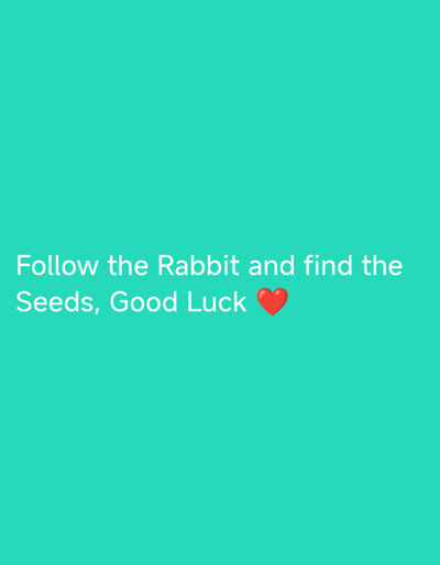 The image is of a turquoise background with the text "Follow the Rabbit and find the Seeds, Good Luck" and a red heart emoji. The coordinates provided (50.914, 8.465) correspond to a location in Biedenkopf, Germany. The image is a digital image and there are no people, animals, or objects in the image.