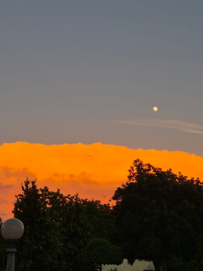 The image captures a sky at twilight, likely in Pavlikeni, Bulgaria, though specific location details are absent. On the left, a light grey sky hosts a pale yellow moon. A band of intensely orange-colored clouds stretches vertically across the center of the frame. To the right, the dark silhouette of trees and possibly buildings frames the orange sky. A spherical street lamp is visible at the bottom right. No people or animals are seen.