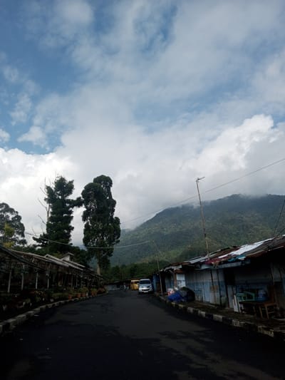 The image depicts a street scene in Mya Sit Kaing Ywar Thit, Myanmar. The road is asphalt with painted black and white curbs. Along the left side is a structure with an overhanging roof and various potted plants and flowers displayed beneath it. Two tall trees stand adjacent to this structure. On the right side, a row of weathered buildings with corrugated metal roofs is visible. A white van and a yellow bus are parked along the road. A mountain covered in green vegetation and obscured by clouds is in the background. The sky is partially cloudy with patches of blue. A utility pole with wires is present on the right side of the frame.