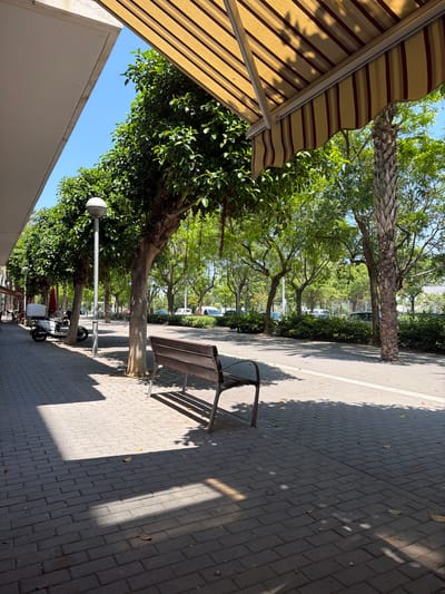 The image depicts a paved pedestrian walkway lined with trees in Salou, Spain. A bench sits along the walkway, casting a shadow on the paving stones. An awning with a striped pattern extends from a building on the left side of the frame. The trees provide shade, and in the distance, parked vehicles are visible. A street light is also visible.