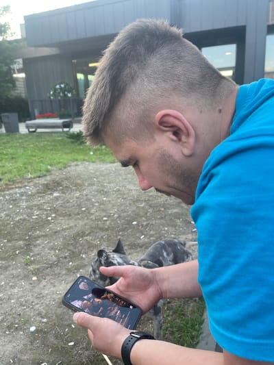 The image shows a close-up, sideways view of a person holding a smartphone. The person is wearing a bright blue t-shirt. Their head is angled downwards, and their ear and short, buzzed haircut are clearly visible. The person's right hand is holding the smartphone, displaying a picture of four people. A black smartwatch is visible on the person's left wrist. In the background, a dog with a merle coat pattern is partially visible. The setting appears to be outdoors, with a ground of gravel and some green grass. A building with large windows and a dark facade is visible in the distance, along with some greenery and outdoor furniture. The lighting suggests it might be daytime, possibly late afternoon or early evening, with a bright, somewhat diffused light. The overall mood seems casual and relaxed. There is no visible text on the person or in the immediate surroundings.