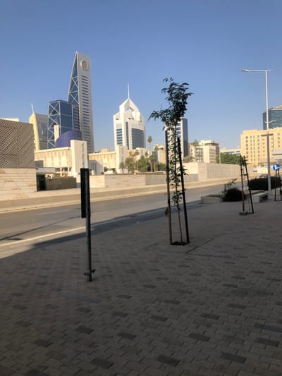A street scene with a light blue sky and modern buildings in the background. A light pole stands on a brick sidewalk next to a road. Young trees, supported by metal frames, line the sidewalk. The buildings vary in height and architectural style, some with unique geometric shapes and glass facades. The sky is clear, suggesting a sunny day.