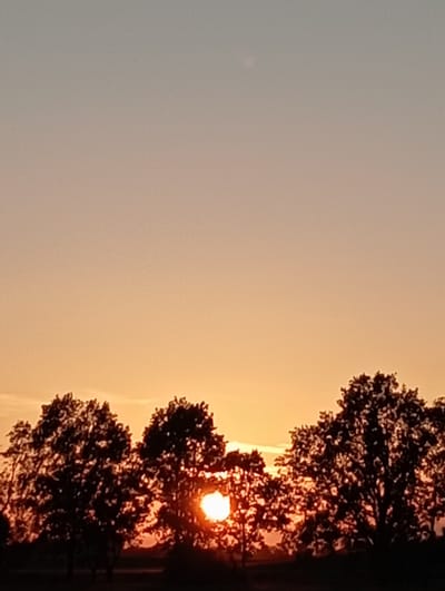 The image depicts a sunset in Sztynort, Poland. The sun, a bright orange orb, is setting behind a silhouette of trees, casting a warm glow across the sky. The sky transitions from a pale grey at the top to a vibrant orange and yellow near the horizon. The trees are dark and leafy, their branches obscuring parts of the sun. The overall scene evokes a sense of peace and natural beauty, typical of an evening in the Polish countryside. The image is a photograph taken from a low angle, looking up towards the sky and trees. There is no text visible in the image.