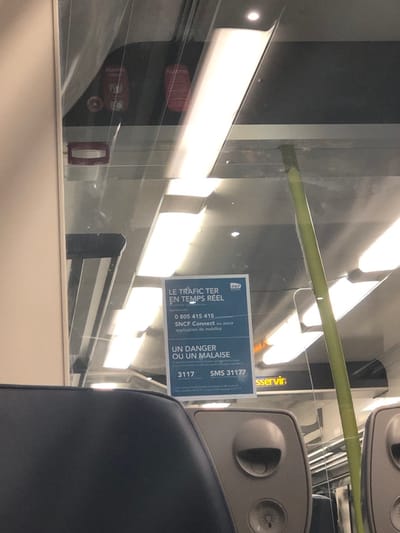 The picture was taken inside a train and shows two signs. The first advertises real-time TER train traffic updates, with a phone number and a SNCF Connect mobile application option. The second sign provides instructions in case of danger or illness, giving the phone number 3117 and an SMS number 31177. An "Alarme" sticker is also visible behind the glass.