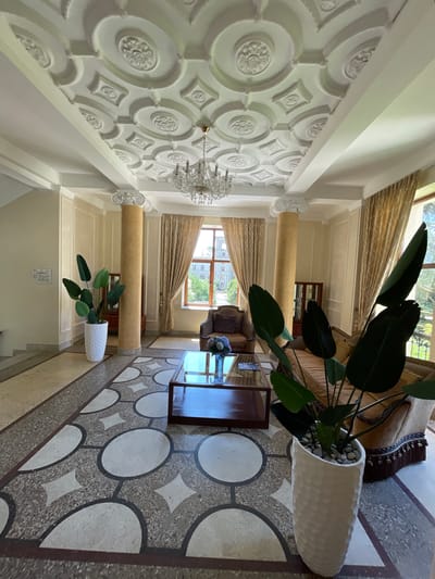 The image depicts the interior of what appears to be a well-appointed lobby or reception area, possibly in Gagra, Abkhazia. The scene is dominated by an ornate, white coffered ceiling with intricate plasterwork and a crystal chandelier hanging from its center. Two large, fluted columns with Corinthian capitals flank the central space, one on the left and one on the right, supporting the overhead structure.
The floor is a mosaic of polished stone in various shades of beige, gray, and brown, featuring a repeating geometric pattern of circles and diamond shapes. A dark wood coffee table with a glass top sits in the middle of the room, holding a floral arrangement.
To the left, a staircase with beige carpeted treads and a white railing ascends. A tall white planter with a textured surface contains a large, leafy green plant. To the right, a plush, upholstered sofa with golden-brown fabric and ornate fringe sits near a large window draped with heavy, patterned gold curtains. Another similar armchair is visible near the window.
The window reveals a view of lush greenery and buildings outside, suggesting an urban or semi-urban setting. The walls are painted a soft cream color and feature subtle decorative molding. The overall atmosphere is one of classic elegance and comfort. No people are visible in the image.