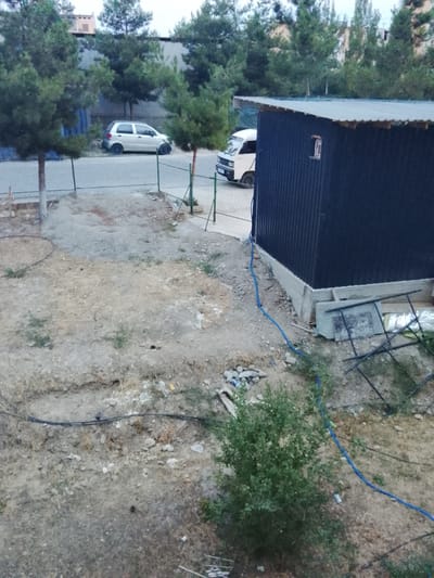 The image depicts an outdoor scene in Namangan City, Uzbekistan. In the foreground, a dry, uneven ground area is visible, with scattered stones, debris, and patches of dry vegetation. A green bush is prominent on the right side of the foreground. A blue hose snakes across the ground. In the middle ground, a dark, corrugated metal structure with a sloped roof stands. A small, open window is visible on the side of the structure. A white van is parked to the left of the structure, facing towards the viewer. Behind the van and structure, a paved road is visible, with a light-colored car parked to the left of the road. A metal fence runs along the edge of the road. In the background, numerous evergreen trees line the area, with buildings visible between them. The sky is overcast.