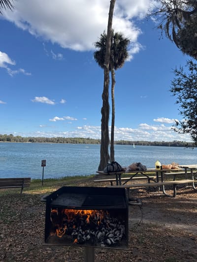 The scene depicts an outdoor recreational area at a lakefront location, presumably within Micanopy, United States, under a clear blue sky with scattered white cumulus clouds. In the immediate foreground, a black, square metal charcoal grill on a stand contains active flames and glowing embers beneath a grate that is partially covered by a flat griddle. The ground is covered with dried leaves. Slightly behind and to the right of the grill, a wooden picnic table with attached benches holds a grey duffel bag, several brown paper bags, and a yellow plastic container. Two tall, slender palm trees with visible fibrous trunks and hanging moss rise vertically behind the picnic table. Further dense green foliage is visible on the far right. To the left of the grill, a wooden park bench is situated near the water's edge, adjacent to a red and white sign on a post. The midground and background are dominated by a large, calm lake, featuring a distant, tree-lined shoreline. Several small white objects, including a sailboat with a white sail, are visible on the water's surface. No people are present in the image.