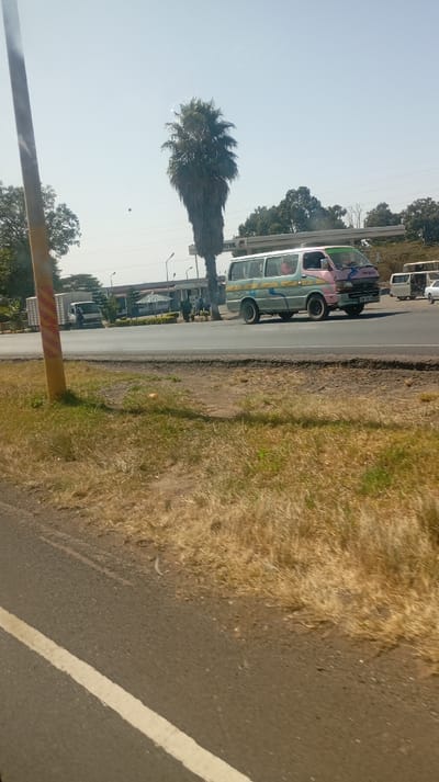 This image depicts an outdoor roadside scene on a bright, sunny day, likely taken from a moving vehicle. The perspective is angled, looking across a road towards a service station area.

In the immediate foreground, a stretch of grey asphalt road is visible at the bottom left, featuring a faded white line marking its edge. To the right of this road is a wide, unkempt verge covered in dry, yellowish-brown grass and patches of bare earth. A tall, slender pole, painted with alternating vertical stripes of yellow and orange/red, stands prominently on the left side of the foreground, partially framing the scene.

The midground features a paved road running horizontally across the image. The most prominent object is a colorful minivan, which appears to be a public service vehicle, possibly a 'matatu'. It has a distinctive two-tone paint scheme: the front and upper sections are light pink or purple, while the lower and rear sections are light green or blue. Stylized light-colored wave or swirl decals decorate its side. The minivan is positioned on the right side of the road, facing towards the right, and appears to be stopped or moving slowly. Behind it, further down the road, other lighter-colored vans or minibuses are visible. To the far left, behind the main road, a white box truck is parked near a group of buildings.

Behind the road and vehicles, a service station or petrol station complex is visible. It features a white canopy structure, partially obscured, with the word "RIVA" (or similar, partially visible) printed on it. Other low-rise buildings and a small, green-roofed structure, possibly a kiosk or shaded seating area, are also part of this complex. Several people can be faintly seen near these buildings and vehicles.

A very tall, slender palm tree with dense, dark green fronds stands conspicuously in the midground, to the left of the gas station canopy, contrasting against the clear sky. Beyond the service station, a line of green-leafed trees forms the background.

The sky is a very clear and bright light blue, suggesting a cloudless day. A small, dark, circular object is faintly visible in the sky above the palm tree, which could be a bird or a minor lens imperfection. The overall impression is one of active daily life in a warm climate.