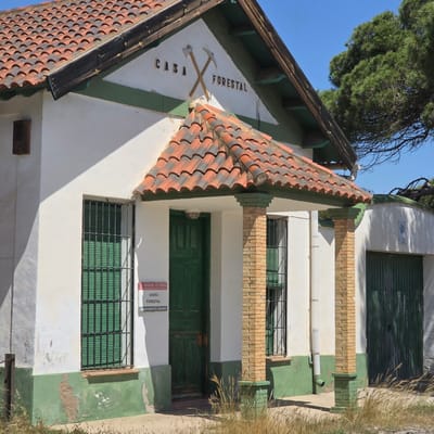 The image shows the "Casa Forestal" (Forest House) in Guardamar del Segura, Spain. The building has a distinctive triangular gable roof covered with orange tiles. On the gable, there's a white sign with "CASA FORESTAL" written in dark lettering and a depiction of crossed axes or pickaxes. The walls are painted white with green trim along the bottom and edges. The building has green window shutters and a green door. There is a sign next to the door from "Generalitat Valenciana". Some weathered areas and peeling paint are visible. In the background, there is a tree with dense foliage and blue sky. Some dry plants can be seen to the right of the structure.