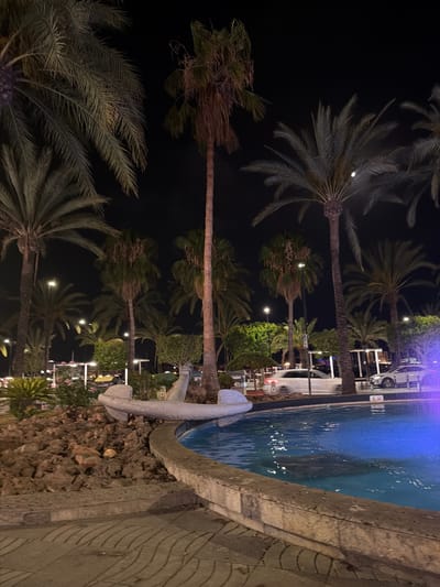 The image depicts a nighttime scene in Sant Antoni de Portmany, Spain, likely in the vicinity of the waterfront or a park area. A fountain with vibrant blue illuminated water dominates the foreground, its edge made of weathered concrete. To the left of the fountain is a rocky, landscaped area with lush green plants and what appears to be a decorative stone element resembling a stylized boat or fountain spout.

Behind the fountain, a paved walkway leads to a street where several white cars are visible, some in motion, indicated by blurred lights. The street is lined with palm trees of varying heights, their fronds silhouetted against the dark night sky. Streetlights are present, casting a soft glow on the surroundings and illuminating some of the foliage. Buildings with illuminated windows are visible in the background, suggesting a commercial or residential area. The overall atmosphere is calm and illuminated, characteristic of a popular tourist destination at night. There are no people visible in the image.