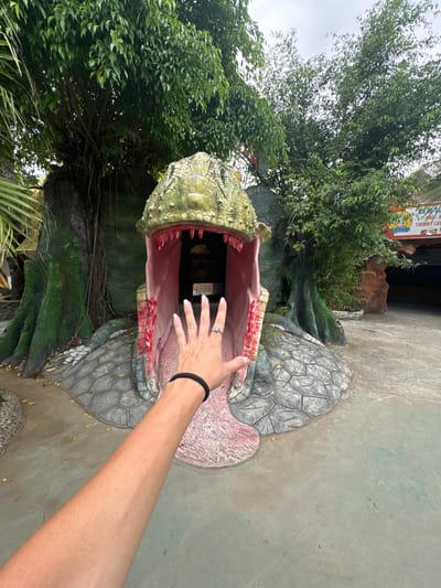 A person's arm and hand are in the foreground, reaching towards the open mouth of a large, green, snake-like creature sculpture. The sculpture has bright pink gums and sharp white teeth. The ground in front of the sculpture is a light gray concrete path, with some fallen leaves scattered about. Behind the sculpture, there is dense green foliage and trees. Further in the background, there is a brown rock formation and a building with a sign that reads "KEM TUOI TOK BOK CAY" and other Vietnamese text. The overall scene appears to be an outdoor attraction or park, possibly in a tropical or subtropical climate. The location is Hoa Lư Ward, Vietnam.