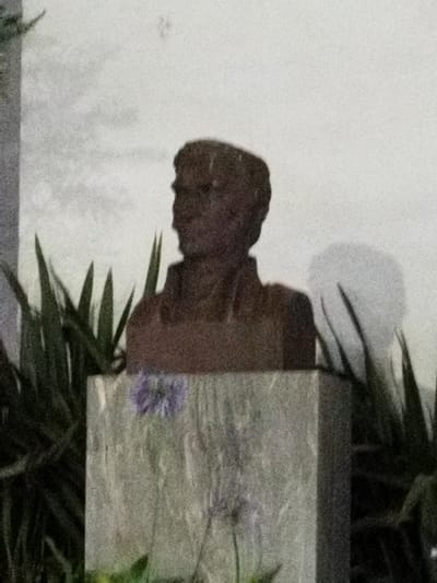 A bronze bust sits atop a marble base. The bust depicts a person in profile, facing left, with a short hairstyle and what appears to be a collared shirt or jacket. A purple flower is placed on the front of the base. Green plants surround the statue, with a light-colored wall behind it. There is a faint shadow on the wall, possibly from the bust.