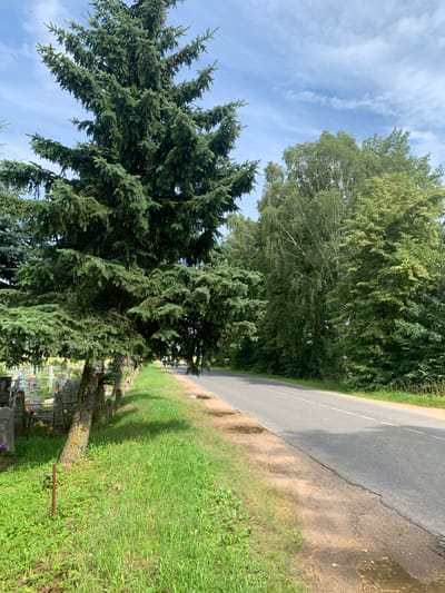 A paved road with a white dashed line runs diagonally from the bottom right to the upper left of the image, bordered by a grassy shoulder on the left. Adjacent to the grassy shoulder is a cemetery with various grave markers and crosses, some adorned with flowers. Several large evergreen trees, likely spruce, line the edge of the cemetery, casting shadows onto the grass. Behind the cemetery and trees, a dense forest of deciduous trees with full green foliage forms a backdrop. The sky is partly cloudy with white clouds against a blue background. The scene appears to be a rural area in or near Відзаўскі сельскі Савет, Belarus, given the presence of the cemetery and natural landscape. There are no people clearly visible in the immediate foreground, though distant figures may be present on the road.
