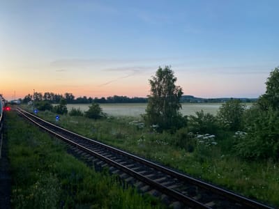 The image depicts a view from a train traveling on a railway track during twilight. The sky displays a gradient of soft colors, transitioning from orange and pink near the horizon to a pale blue overhead. In the foreground, the railway tracks stretch into the distance, flanked by lush green vegetation and scattered wildflowers. To the left, the side of a train carriage is visible with red and blue lights. Further down the tracks, blue lights are also visible. The background features a field with a light mist or fog, bordered by trees and a distant, gently rolling landscape under the twilight sky. There are no people visible in the frame. The overall scene is serene and natural. The location is specified as Rychino, Russia.