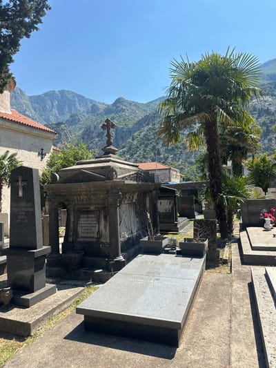 The image depicts a cemetery in Škaljari, Montenegro. The scene is bathed in bright sunlight, suggesting a clear day. In the foreground, various gravestones and mausoleums are visible, made of stone and granite. A large palm tree dominates the left side of the frame, its fronds reaching towards the sky. Behind the cemetery, steep, lush green mountains rise dramatically under a clear blue sky. The architecture of some of the burial sites, particularly the ornate mausoleum in the center with a cross on top, suggests historical significance.
Visible text on the gravestones includes names and dates in Cyrillic script, such as "КОСОВИЋ ЈОВО ЈАНИЦА ПЕРО 1896-", "ЈЕЛКИ РАДУЛОВИЋ РОБ 23/ХІ 1888 -+- 27/ХІІ 1900", and "СТАНИСЛАВ поло". These inscriptions provide context about the individuals interred and the time period. The overall atmosphere is one of solemnity and peace, underscored by the natural beauty of the surrounding landscape. The combination of weathered stone, lush vegetation, and imposing mountains creates a picturesque yet poignant setting.