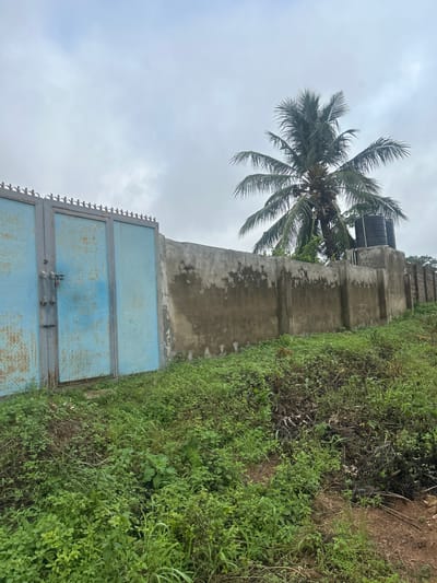 The image depicts a gray, cloudy sky over a scene in Ogbomosho, Nigeria. On the left, a large, light blue metal gate with a diamond plate pattern is visible. The gate has two main sections and a smaller section on the far left, all with decorative ironwork at the top. A red padlock secures the gate. To the right of the gate, a rough, textured concrete wall extends into the background. The wall appears weathered with patches of discoloration. A tall coconut palm tree stands behind the wall, its fronds spread against the sky. Two large black water tanks are positioned on top of a section of the wall. The foreground is covered in lush green vegetation, including various types of grass and smaller plants, with some areas of dry leaves and branches mixed in. The ground slopes upwards towards the wall.