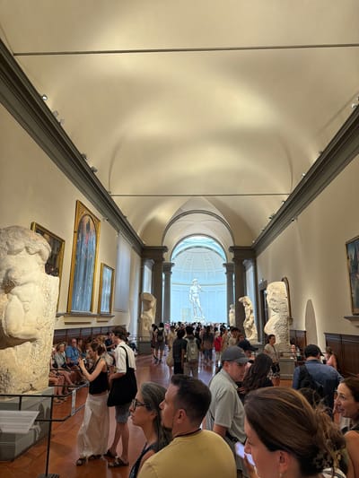 This media file shows a group of people observing artworks in a museum, likely in Florence, Italy, given the architectural style and the presence of classical sculptures. The scene depicts an indoor setting with high ceilings and a long hallway lined with display cases and paintings. Sunlight streams in from a large, arched window at the far end of the hall, illuminating the space and casting soft shadows.
The primary subjects are the visitors, who are a diverse group of adults and children. They are actively engaged with the exhibits, with many leaning in to get a closer look at sculptures and paintings. Some are taking pictures with their phones, while others are engaged in conversation. The people are dressed in casual, warm-weather clothing, suggesting a daytime visit. There's a sense of curiosity and admiration as they explore the museum.
Prominently featured are several classical sculptures, some of which appear to be marble and unfinished or fragmented, characteristic of Renaissance art. Paintings in ornate frames are also displayed on the walls. The overall atmosphere is one of cultural appreciation and education. The lighting suggests it's daytime, and the weather outside is likely pleasant, allowing for the bright illumination within the museum. The polished wooden floors reflect the light, adding to the grandeur of the space. There is no discernible text in the visible parts of the media file.