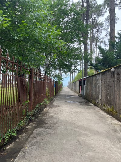 The image depicts a pathway alongside a weathered concrete wall and a rusty metal fence. Tall trees with green foliage line the left side of the path, extending towards the background where a body of water, possibly the sea, is visible under an overcast sky. The pathway itself appears to be made of concrete, with some puddles of water indicating recent rain. The overall scene suggests an outdoor setting, possibly in a coastal area given the presence of the sea in the distance. The rusted fence suggests a sense of age and perhaps neglect, contrasting with the vibrant green of the surrounding trees. The lighting is diffused, indicating it might be daytime with cloudy weather. No people are visible in the image, and there is no discernible text. The location is Ureki, Georgia.