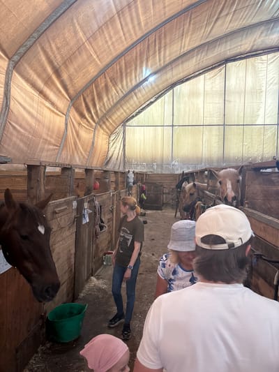 The image depicts the interior of a horse stable with a large, translucent tarp roof supported by metal beams. The stable is divided into wooden stalls, some of which contain horses. In the foreground, a dark brown horse with a white marking on its forehead is visible in a stall on the left. To the right, a group of people are observing the horses. Among them is a woman with blonde hair wearing a dark t-shirt and jeans, standing and looking towards the horses. Further into the stable, two horses with light brown and white coloring are in their stalls, their heads visible. In the background, a white horse is also visible in a stall. The floor of the stable is covered with straw and dirt. The overall environment suggests a functional agricultural setting, likely a horse riding facility or farm. The location is identified as Pavlovsk, Russia.