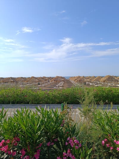 The image depicts a serene beach scene with rows of thatched umbrellas and lounge chairs set on the sand, suggesting a resort or public beach area. In the foreground, lush green bushes with vibrant pink flowers add a touch of natural beauty. The sea is visible in the distance under a clear blue sky with scattered white clouds. The overall atmosphere is peaceful and inviting, indicative of a pleasant day at the beach. No text is visible in the image. The setting is likely Sabunchu Raion, Azerbaijan, given the provided location context. The time of day appears to be daytime, with ample sunlight suggesting it could be morning or afternoon. The weather seems to be fair and sunny, ideal for a beach outing. The scene captures the tranquility of a beach ready for visitors to relax and enjoy the coastal environment.
