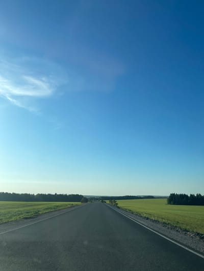 The image depicts a rural landscape with a road running along the right side. Adjacent to the road, there is a field, primarily green, bordered by a line of trees in the distance. The left portion of the image is dominated by a blue sky with some wisps of clouds. The scene is possibly located near Perevoznoye, Russia. No people or discernible actions are visible in the image.
