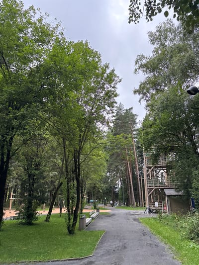 A view down a paved path in a park-like setting on a cloudy day. On the right side of the path is a tall, wooden observation tower with multiple levels and a small wooden building at its base. The tower is surrounded by trees, as is the rest of the park. To the left of the path, there is a grassy area with benches, trash receptacles, and playground equipment. In the distance, two people are walking away from the camera down the path. The environment appears to be a public park or recreational area.
