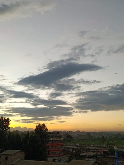 A cityscape view at sunset with a cloudy sky. Dark trees and low buildings occupy the foreground. A taller orange and blue building labeled "College" is visible. The sun casts a warm glow on the distant buildings and sky, creating an orange horizon. Varying shades of gray clouds fill the sky.