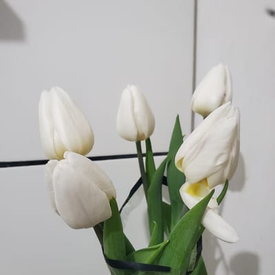 A bouquet of four white tulip flowers with green leaves is arranged on a white tiled surface. A black elastic band encircles the stems. The location is unknown.