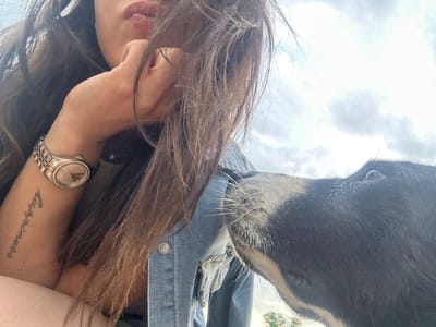 A close-up, low-angle, outdoor photograph captures a woman in the city of Golyam Chardak, Bulgaria, interacting with a black dog. The woman, partially obscured by her long, dark hair, rests her chin on her hand. She wears a denim jacket over a lighter-colored top, and a rose gold watch is visible on her left wrist, displaying the word "happiness" tattooed vertically on her forearm. The dog's head is prominently featured on the right side of the frame, with its muzzle extended towards the woman. Its fur is predominantly black, with lighter markings around its nose and mouth. The background consists of a cloudy sky, suggesting an overcast day. The lighting is natural, casting soft shadows.