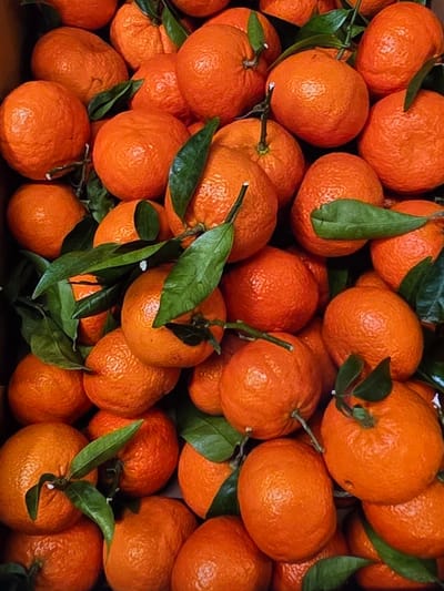 A close-up, overhead shot reveals a tightly packed cardboard box filled with fresh tangerines, some still adorned with vibrant green leaves. The fruit is a bright, uniform orange, with textured skin that hints at their ripeness. The lighting is bright and even, casting minimal shadows, which emphasizes the rich color and detail of the tangerines. The scene appears to be a marketplace or a home setting in Voluntari, Romania, given the context.