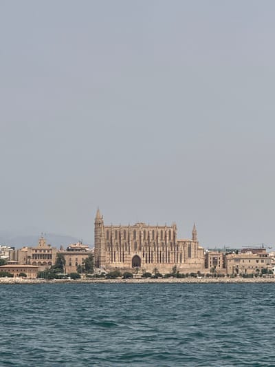 The image shows a wide shot of the waterfront in Palma de Mallorca, Spain, featuring the iconic La Seu Cathedral. The cathedral, a large Gothic structure with intricate stonework and spires, dominates the skyline. In front of the cathedral, a row of buildings and trees lines the shore. The foreground is filled with the dark blue, choppy water of the sea, reflecting the hazy sky. The overall atmosphere is calm and serene, with the city buildings nestled against the backdrop of a pale sky.